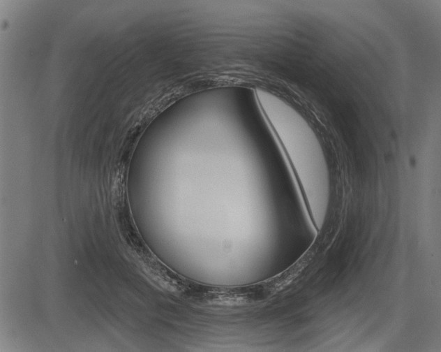 X0000083550601200702090751
