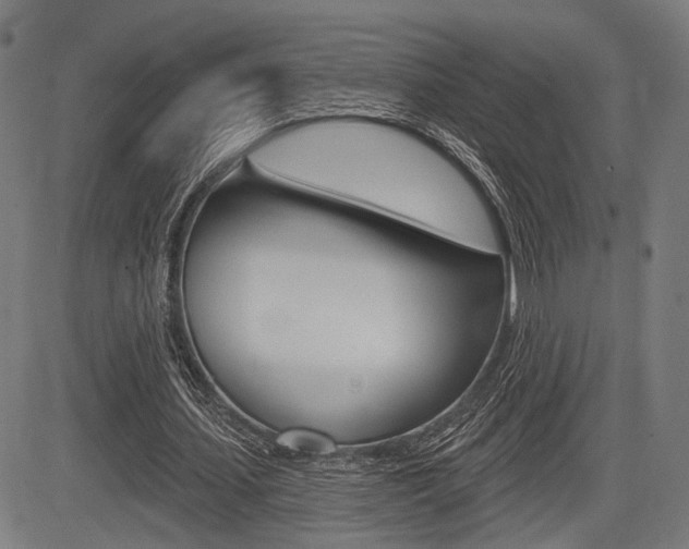 X0000083550627200702090750