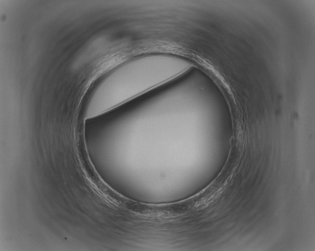 X0000083550629200702090750