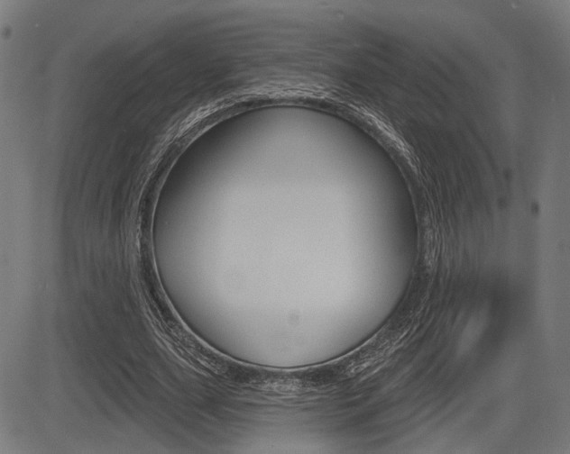 X0000083550631200702090750