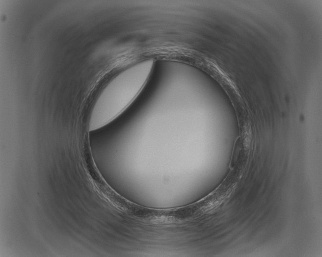 X0000083550637200702090751