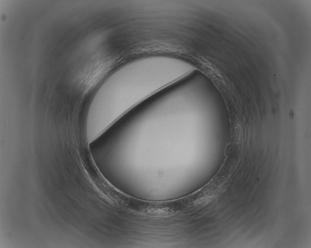 X0000083550638200702090751