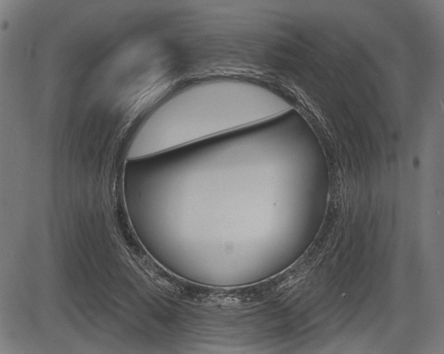 X0000083550640200702090751