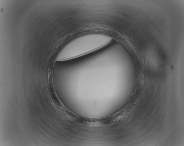 X0000083550645200702090751