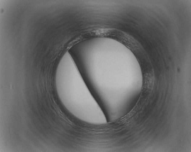 X0000083550650200702090751