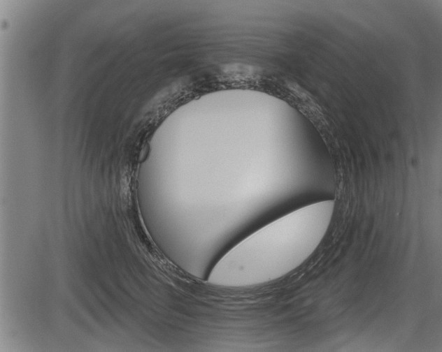 X0000083550662200702090751