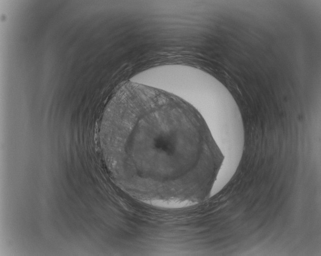 X0000083550667200702090751