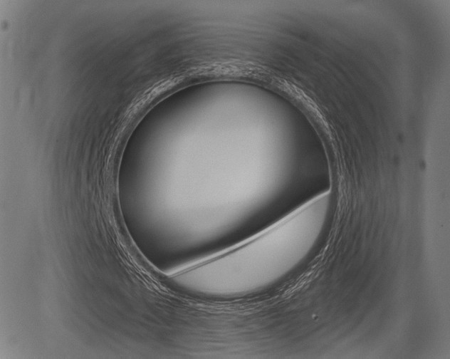 X0000083550673200702090750