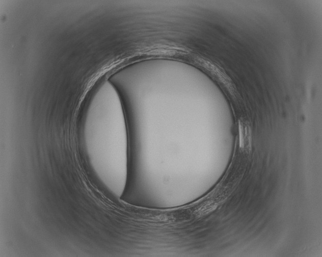 X0000083550675200702090750