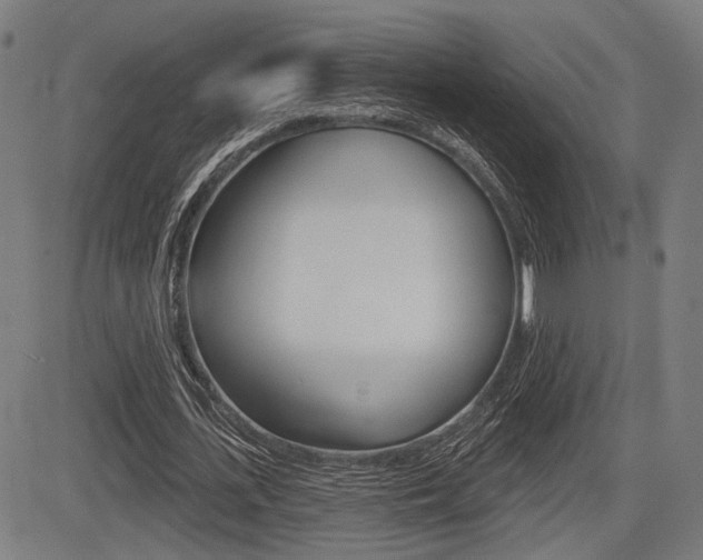 X0000083550723200702090749