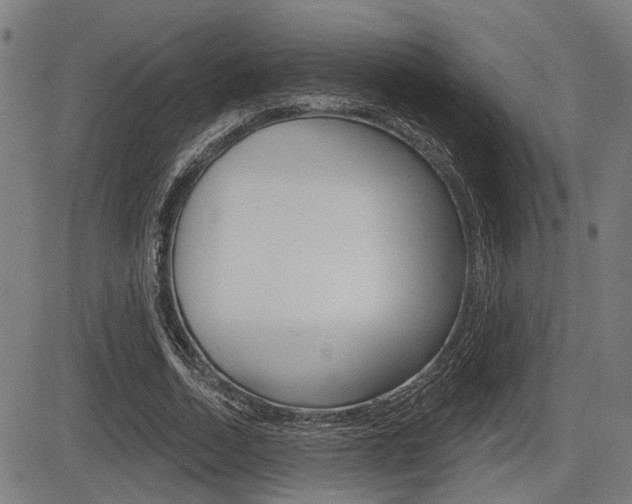 X0000083550730200702090749