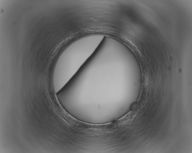X0000083550733200702090749