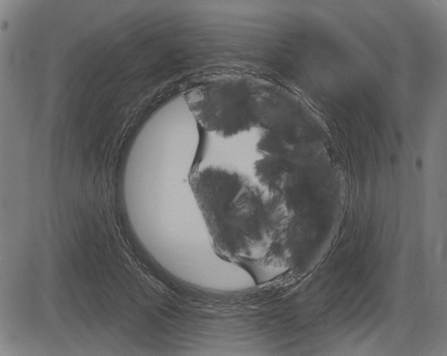 X0000083550737200702090749