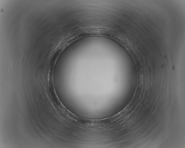 X0000083550739200702090749