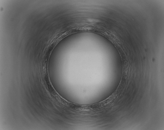 X0000083550743200702090749