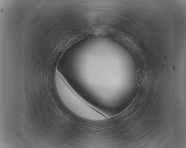 X0000083550748200702090749