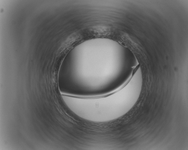 X0000083550756200702090749