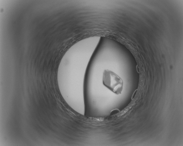 X0000083550768200702090750