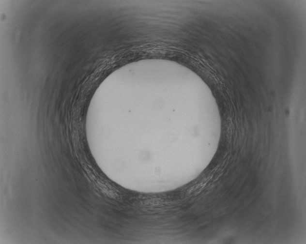X0000083550769200702090749