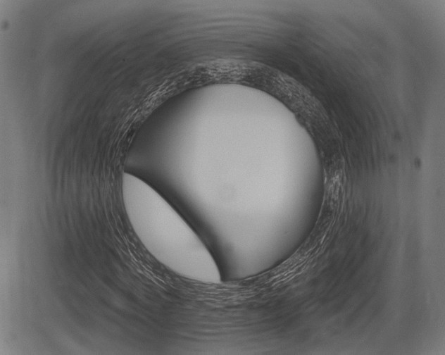 X0000083550772200702090749