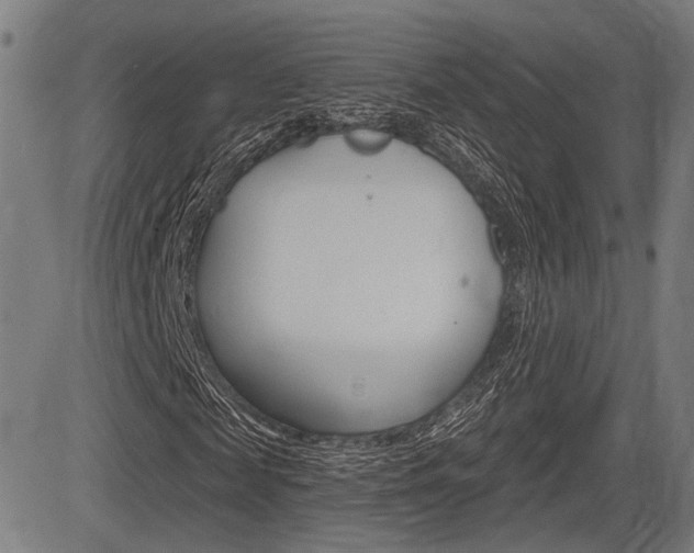 X0000083550817200702090747