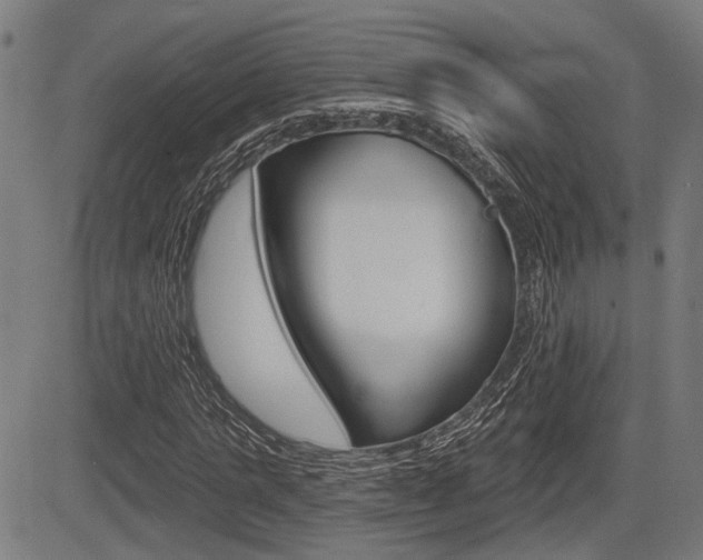 X0000083550821200702090747