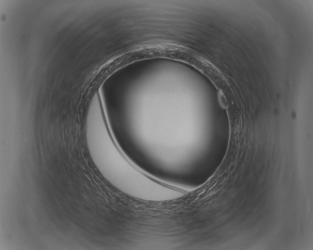 X0000083550822200702090747