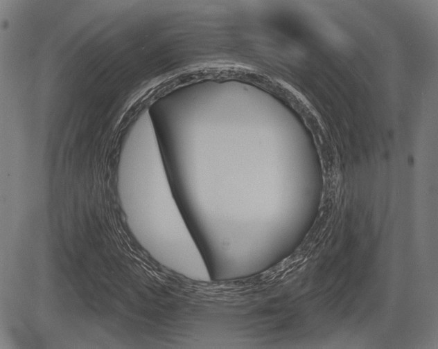 X0000083550823200702090747
