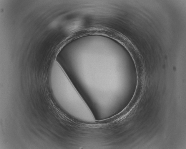 X0000083550825200702090747