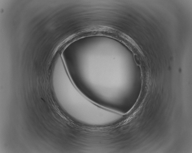 X0000083550826200702090747