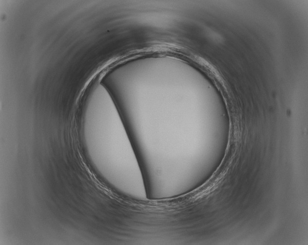 X0000083550827200702090747