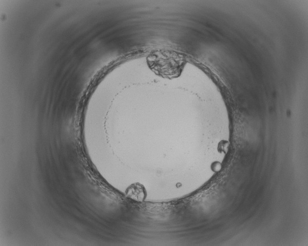 X0000083550832200702090747