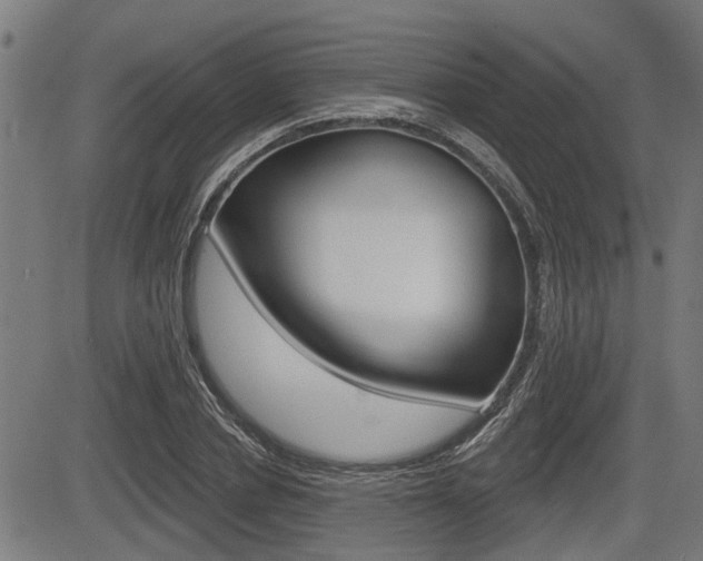 X0000083550834200702090747
