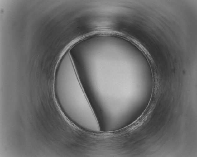 X0000083550853200702090748
