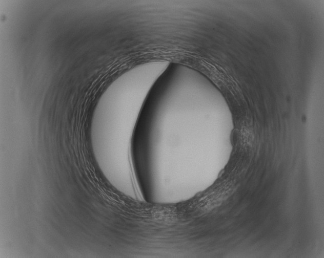 X0000083550865200702090747