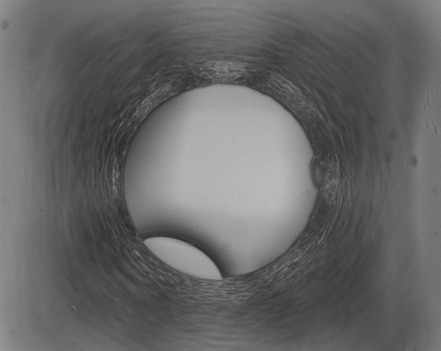 X0000083550866200702090747