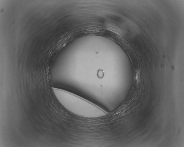 X0000083550867200702090747
