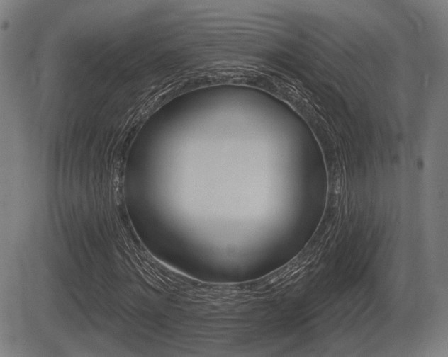 X0000083550868200702090747