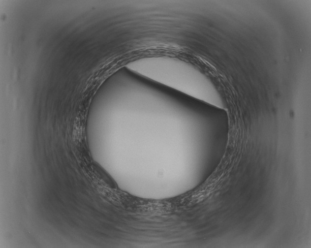 X0000083550869200702090747