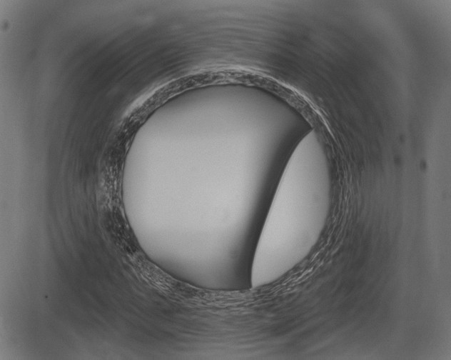 X0000083550871200702090747