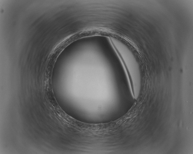 X0000083550872200702090747