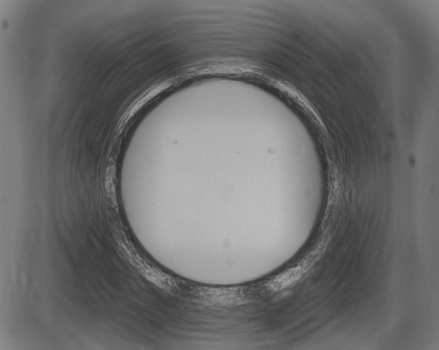 X0000083550874200702090747