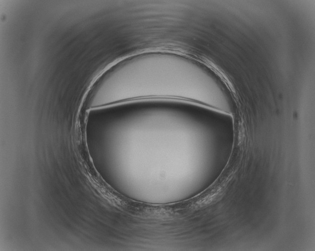 X0000083550876200702090747