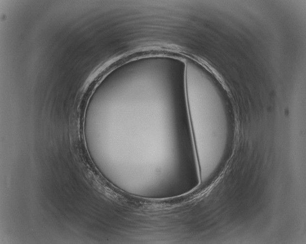 X0000083550877200702090747