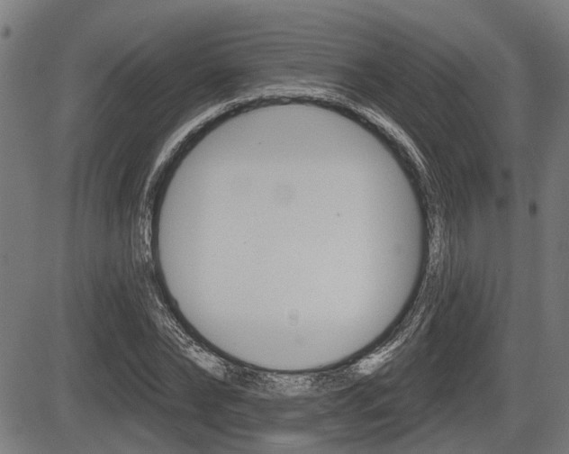 X0000083550878200702090747