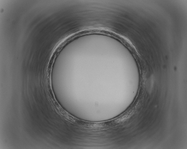 X0000083550879200702090747