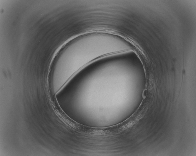 X0000083550880200702090747