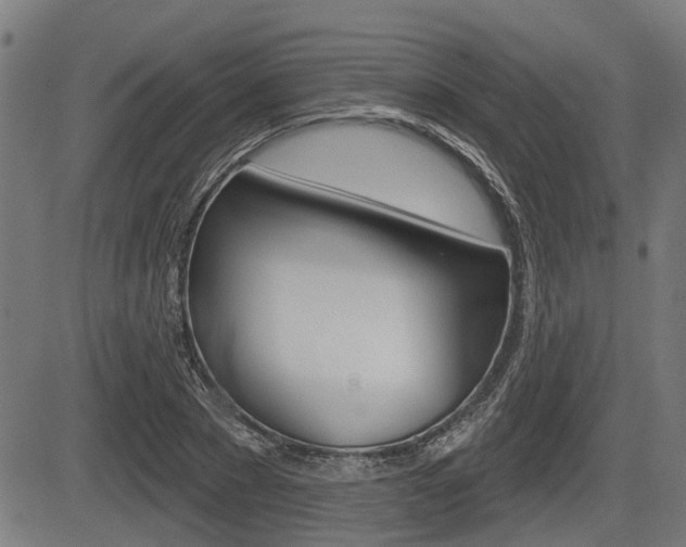 X0000083550881200702090747