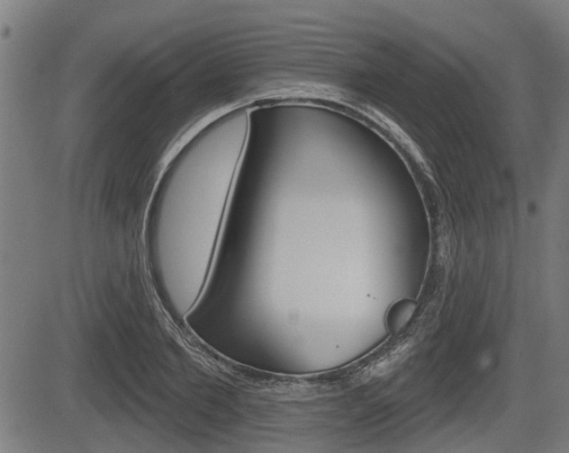 X0000083550885200702090747