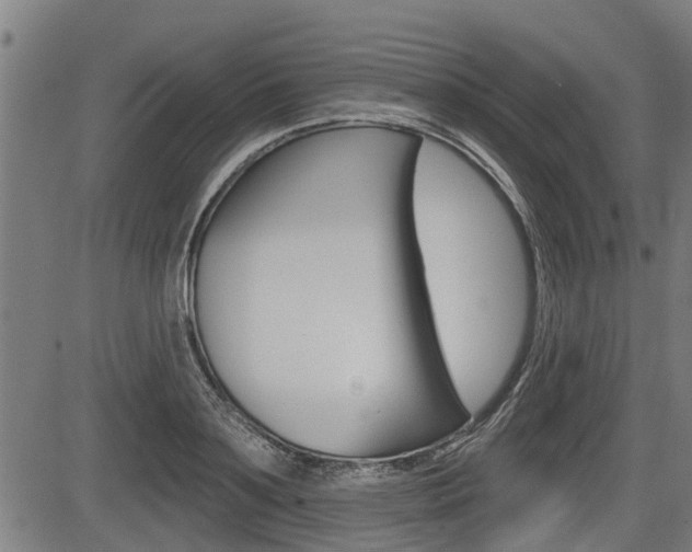 X0000083550891200702090747